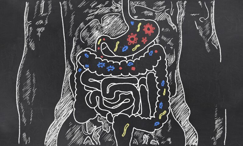 Paraziți în tractul gastrointestinal al unei persoane