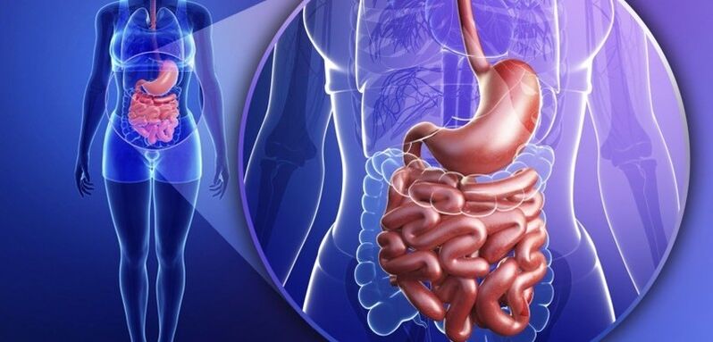 Tractul gastrointestinal este uman