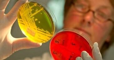 diagnosticul paraziților în organism